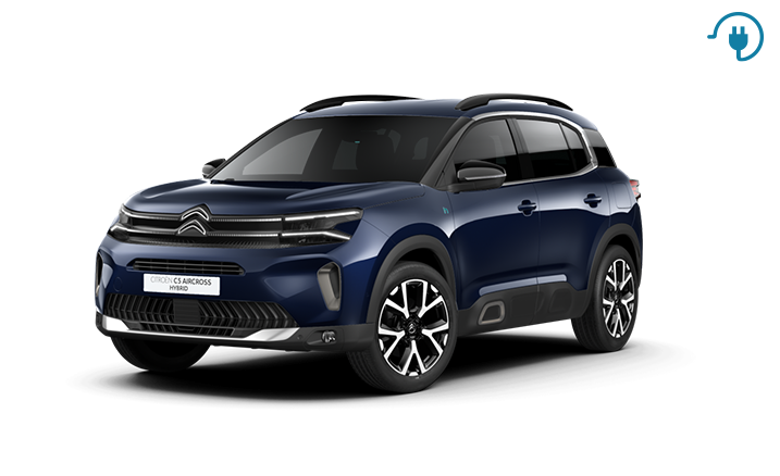 Leasing Hybrid Sofort Verfugbar