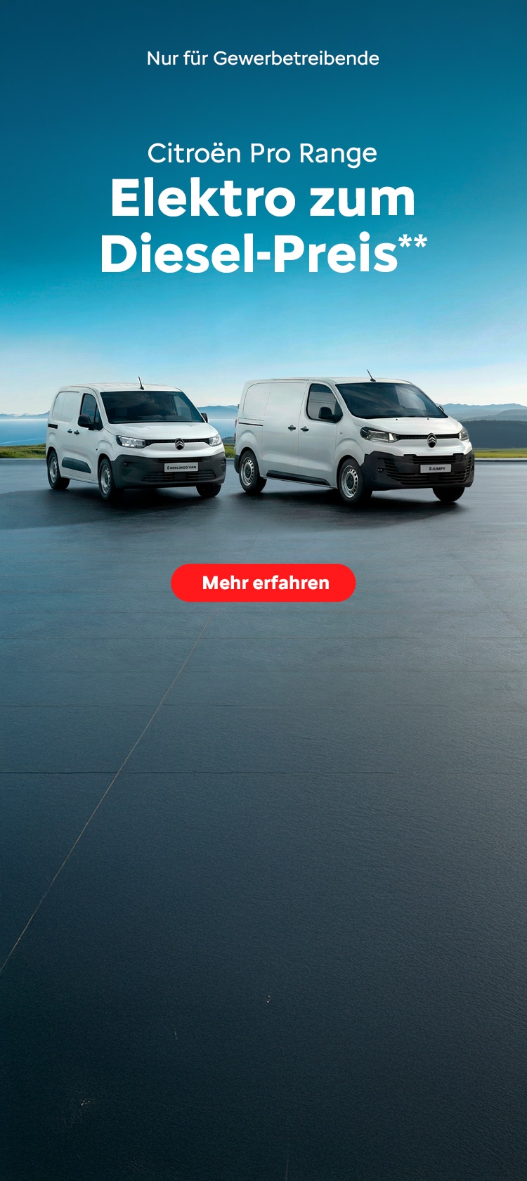 Der Citroën C3, C4 und C5 Aircross auf einem Parkplatz vor einer Skyline